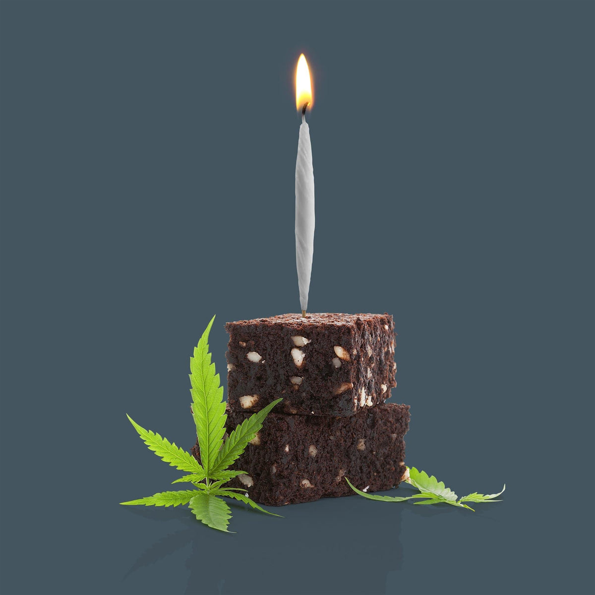 LIT! PARTY CANDLES