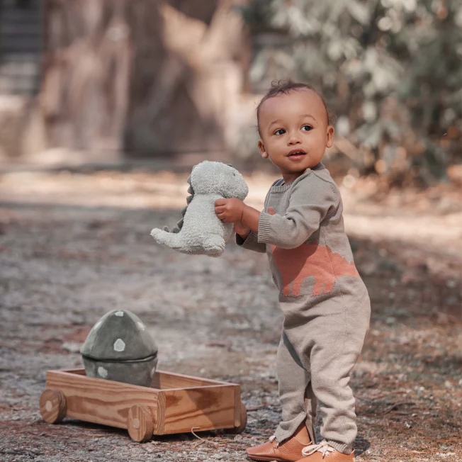 ELEGANT BABY: PLUSH BABY DINO + EGG ACTIVITY TOY