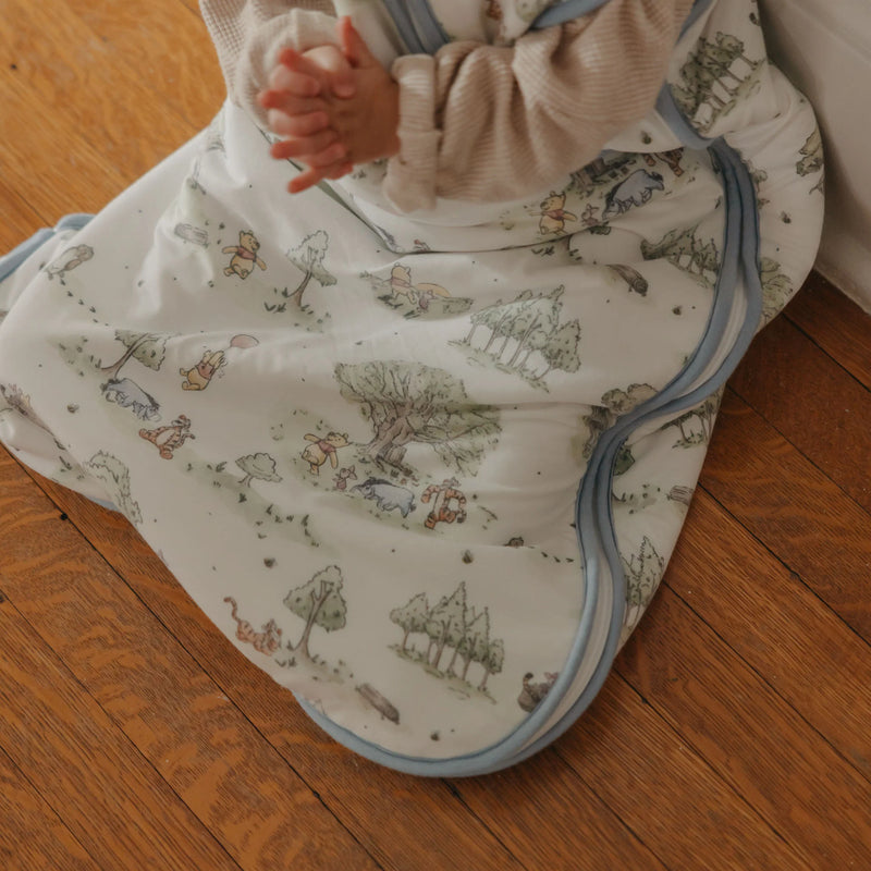 COPPER PEARL: HUNDRED ACRE WOOD TOG SLEEP BAG