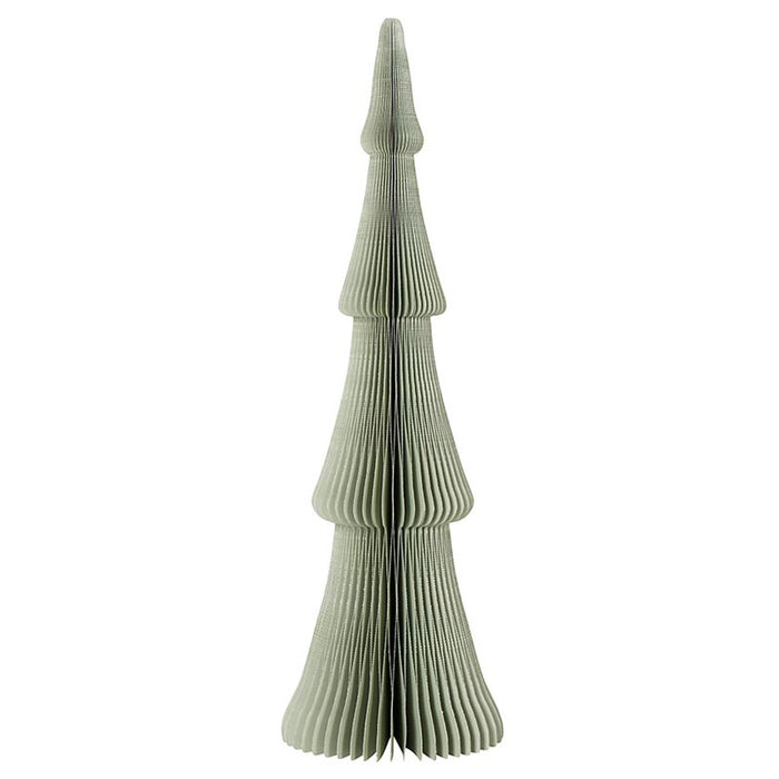 PAPER TREE - FRASIER FIR SAGE GREY 18"