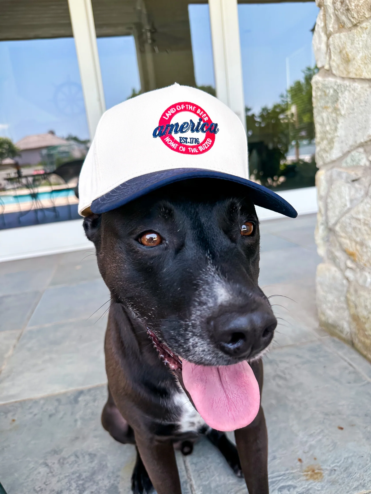 LAND OF THE BEER SNAPBACK HAT - NATURAL/NAVY