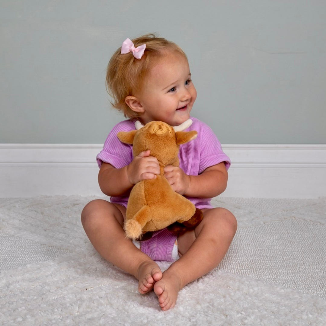 MARY MEYER: HETTY HIGHLAND COW SOFT TOY - 10"