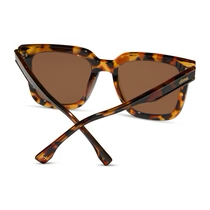 DIME: MALIBU - TORTOISE BROWN POLARIZED SUNGLASSES