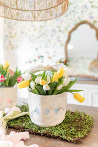 MUD PIE: GINGHAM EASTER BUNNY BASKET SET