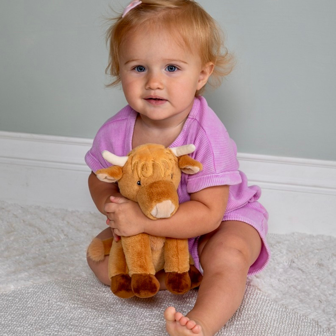 MARY MEYER: HETTY HIGHLAND COW SOFT TOY - 10"