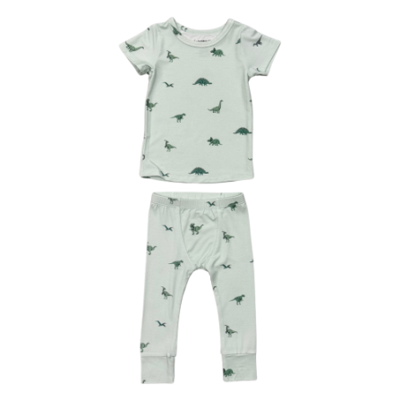 BABYSPROUTS: SHORT SLEEVE LOUNGE SET - DINOSAUR