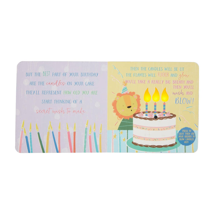 MUD PIE: INTERACTIVE HAPPY BIRTHDAY BOARD BOOK