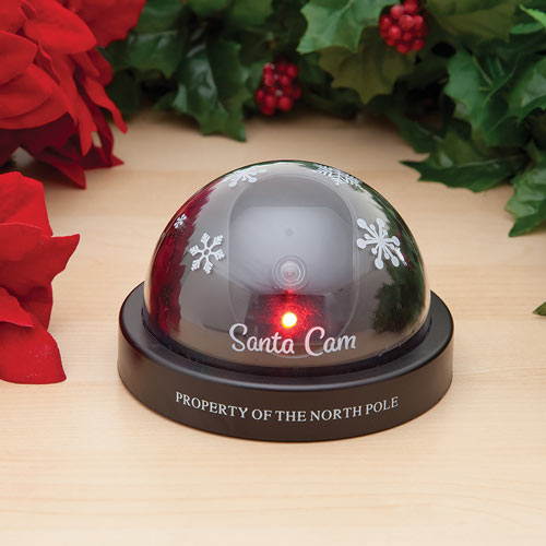 LED SANTA CAM